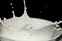 Подбор индивидуальной диеты, диета для молодых, Как быстро похудеть с фруктом-баша, пищевые диеты, Сложная диета, похудеть после родов диета, леди гага похудела
